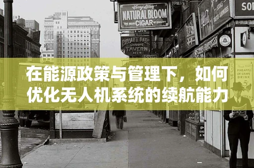 在能源政策与管理下，如何优化无人机系统的续航能力？