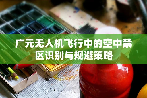 广元无人机飞行中的空中禁区识别与规避策略