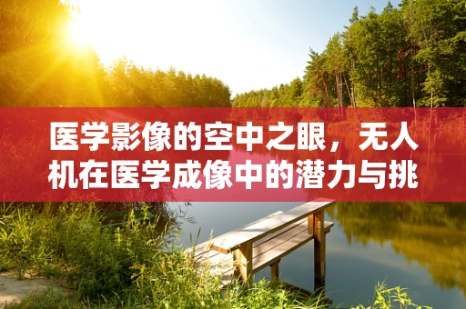医学影像的空中之眼，无人机在医学成像中的潜力与挑战