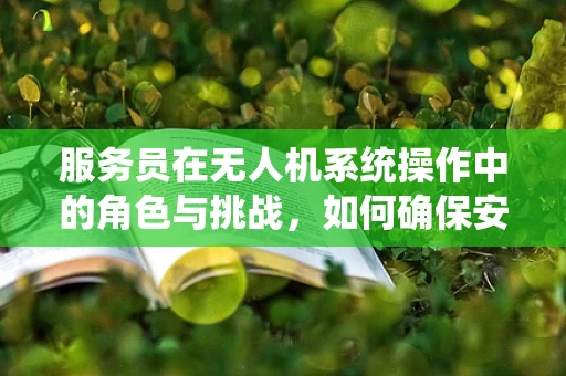 服务员在无人机系统操作中的角色与挑战，如何确保安全与效率？