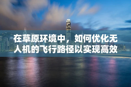 在草原环境中，如何优化无人机的飞行路径以实现高效监测？
