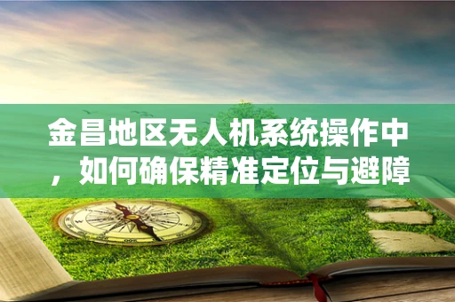 金昌地区无人机系统操作中，如何确保精准定位与避障？