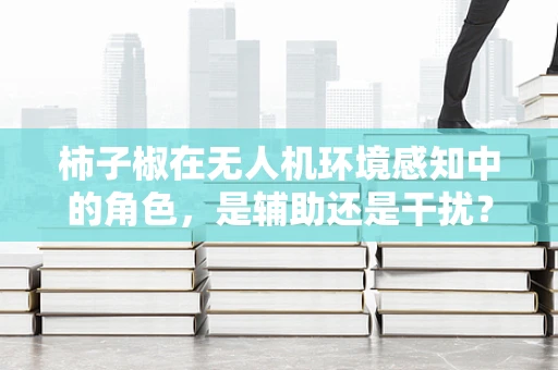 柿子椒在无人机环境感知中的角色，是辅助还是干扰？