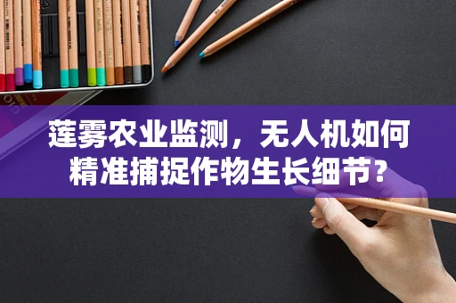 莲雾农业监测，无人机如何精准捕捉作物生长细节？