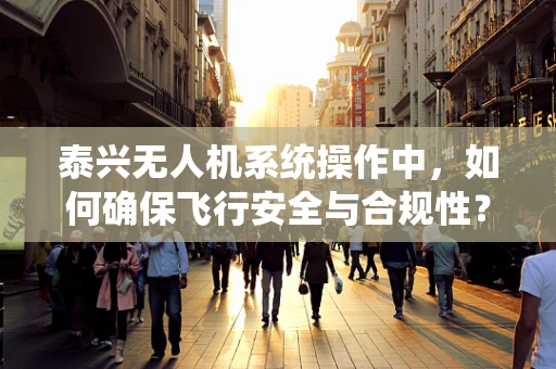 泰兴无人机系统操作中，如何确保飞行安全与合规性？