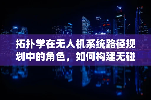 拓扑学在无人机系统路径规划中的角色，如何构建无碰撞的飞行网络？