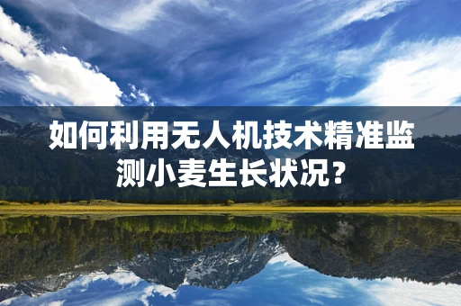 如何利用无人机技术精准监测小麦生长状况？