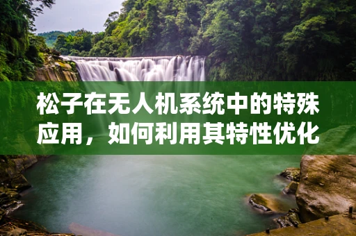松子在无人机系统中的特殊应用，如何利用其特性优化飞行控制？