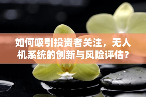 如何吸引投资者关注，无人机系统的创新与风险评估？