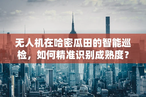 无人机在哈密瓜田的智能巡检，如何精准识别成熟度？