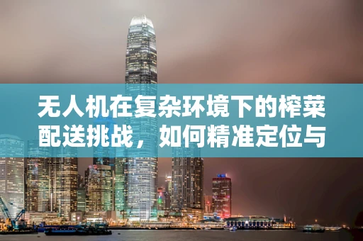 无人机在复杂环境下的榨菜配送挑战，如何精准定位与避障？