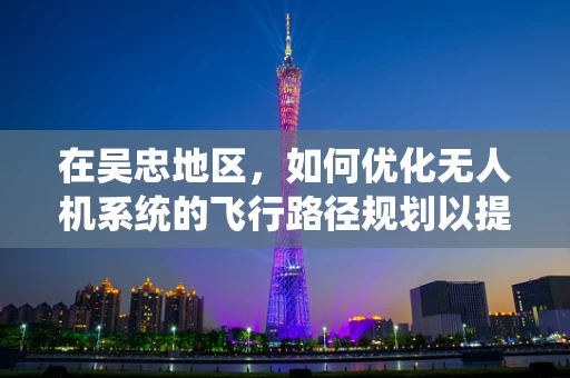 在吴忠地区，如何优化无人机系统的飞行路径规划以提升作业效率？