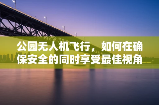 公园无人机飞行，如何在确保安全的同时享受最佳视角？