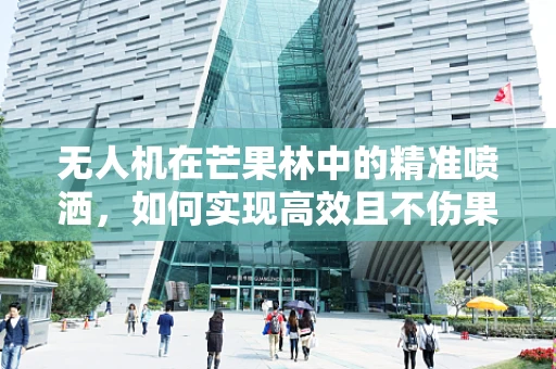 无人机在芒果林中的精准喷洒，如何实现高效且不伤果实的操作？