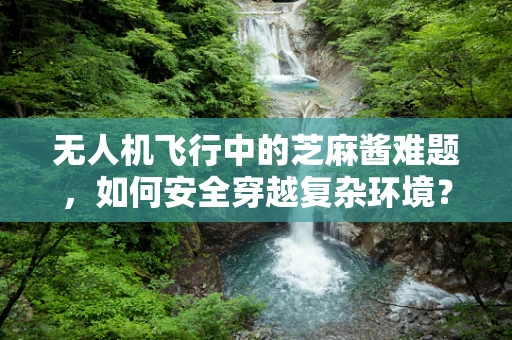 无人机飞行中的芝麻酱难题，如何安全穿越复杂环境？