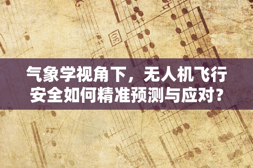 气象学视角下，无人机飞行安全如何精准预测与应对？