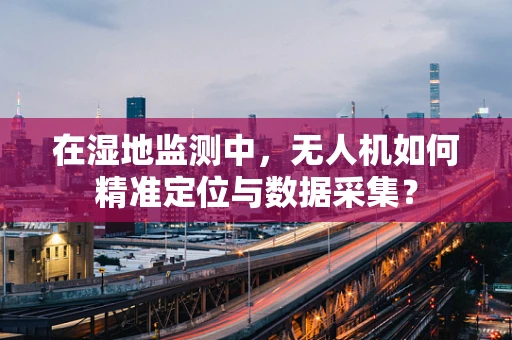 在湿地监测中，无人机如何精准定位与数据采集？