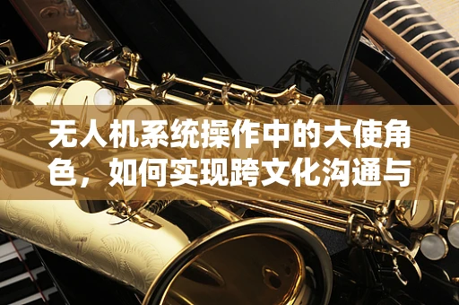 无人机系统操作中的大使角色，如何实现跨文化沟通与协作？