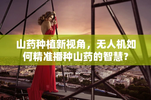 山药种植新视角，无人机如何精准播种山药的智慧？