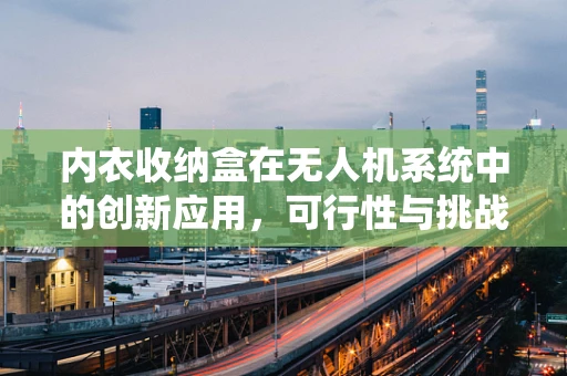 内衣收纳盒在无人机系统中的创新应用，可行性与挑战？