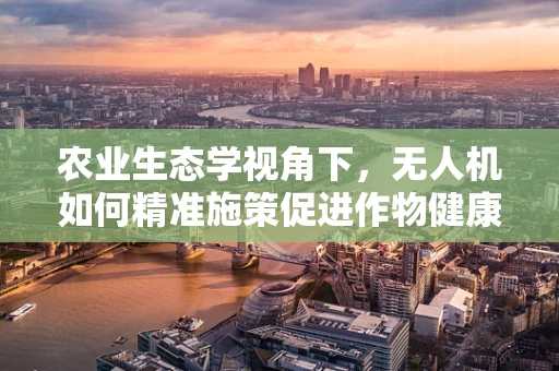 农业生态学视角下，无人机如何精准施策促进作物健康？