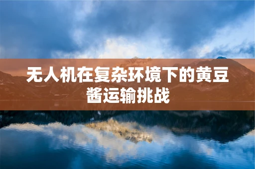 无人机在复杂环境下的黄豆酱运输挑战