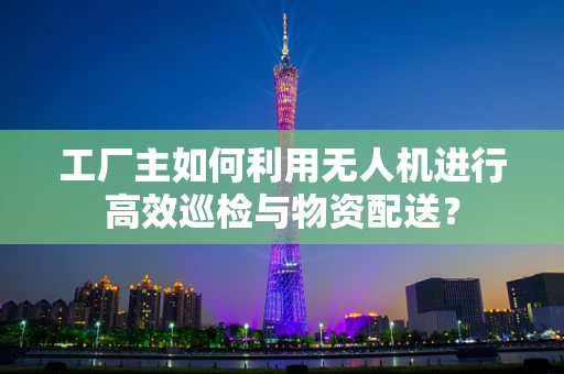 工厂主如何利用无人机进行高效巡检与物资配送？