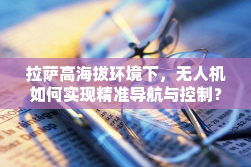 拉萨高海拔环境下，无人机如何实现精准导航与控制？