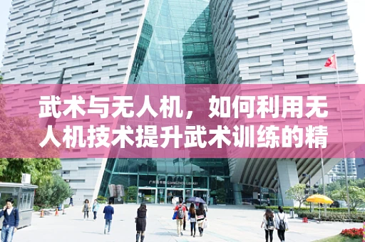武术与无人机，如何利用无人机技术提升武术训练的精准与效率？