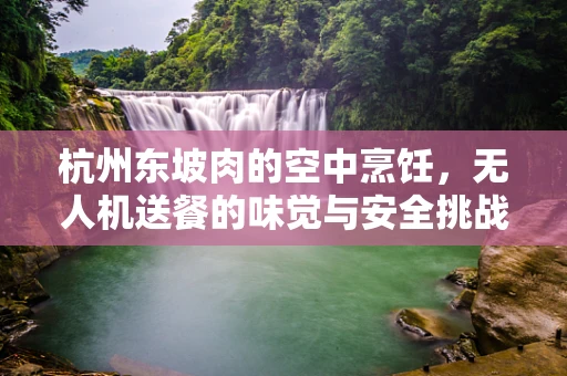 杭州东坡肉的空中烹饪，无人机送餐的味觉与安全挑战？