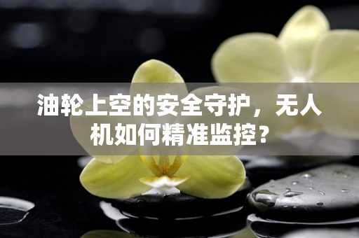 油轮上空的安全守护，无人机如何精准监控？