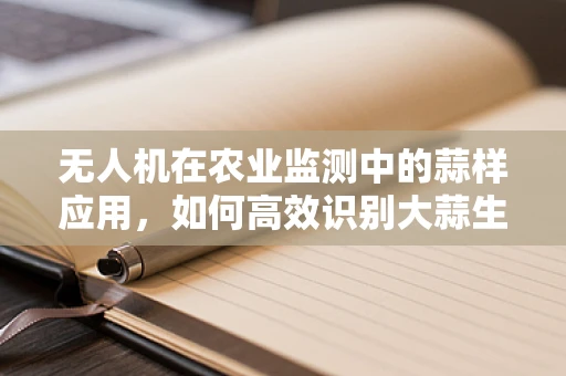 无人机在农业监测中的蒜样应用，如何高效识别大蒜生长状况？