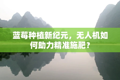蓝莓种植新纪元，无人机如何助力精准施肥？