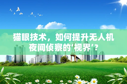 猫眼技术，如何提升无人机夜间侦察的‘视界’？