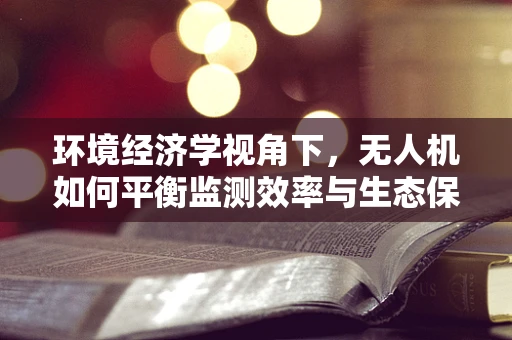 环境经济学视角下，无人机如何平衡监测效率与生态保护？