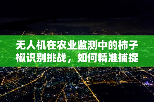 无人机在农业监测中的柿子椒识别挑战，如何精准捕捉作物健康状况？
