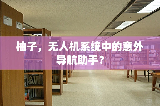 柚子，无人机系统中的意外导航助手？