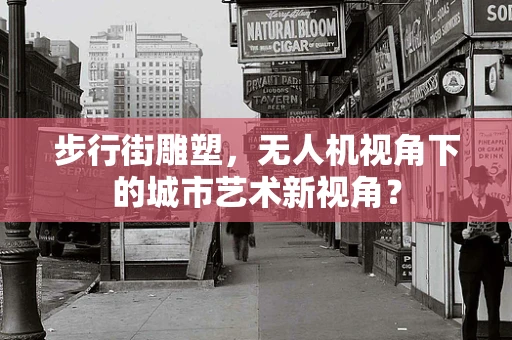 步行街雕塑，无人机视角下的城市艺术新视角？