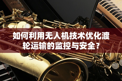 如何利用无人机技术优化渡轮运输的监控与安全？