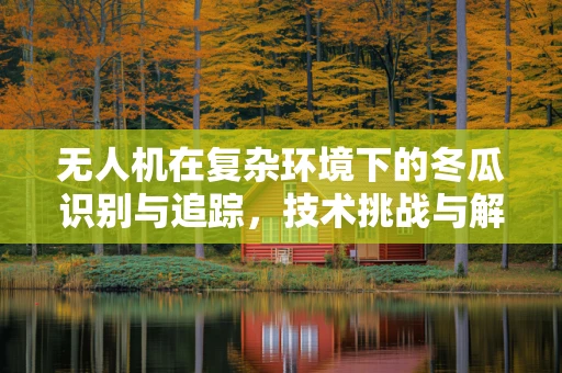 无人机在复杂环境下的冬瓜识别与追踪，技术挑战与解决方案？