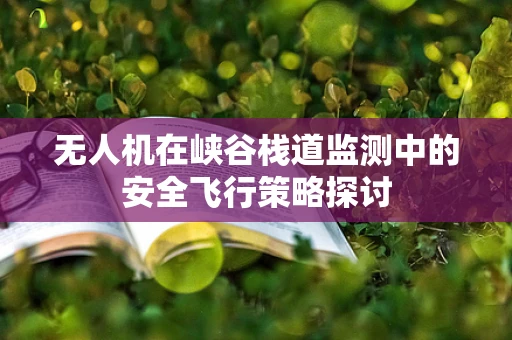 无人机在峡谷栈道监测中的安全飞行策略探讨