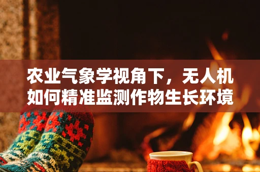 农业气象学视角下，无人机如何精准监测作物生长环境？
