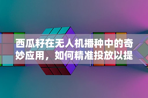 西瓜籽在无人机播种中的奇妙应用，如何精准投放以提高作物生长效率？