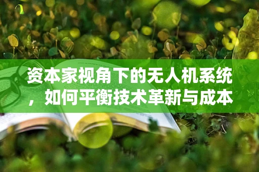 资本家视角下的无人机系统，如何平衡技术革新与成本控制？