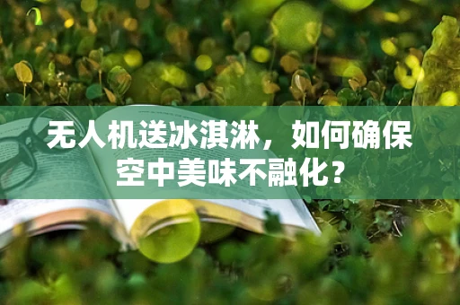 无人机送冰淇淋，如何确保空中美味不融化？