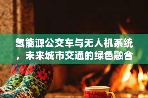 氢能源公交车与无人机系统，未来城市交通的绿色融合