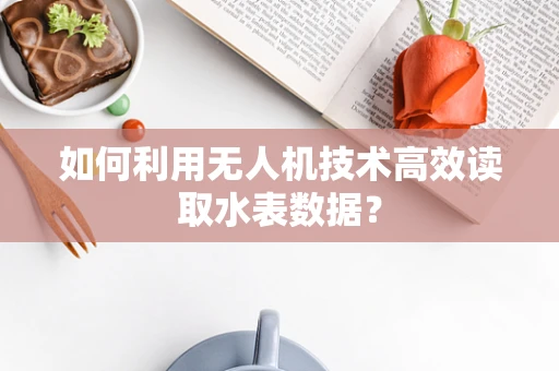 如何利用无人机技术高效读取水表数据？