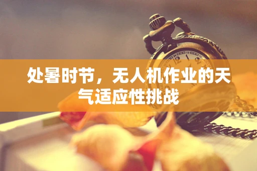 处暑时节，无人机作业的天气适应性挑战