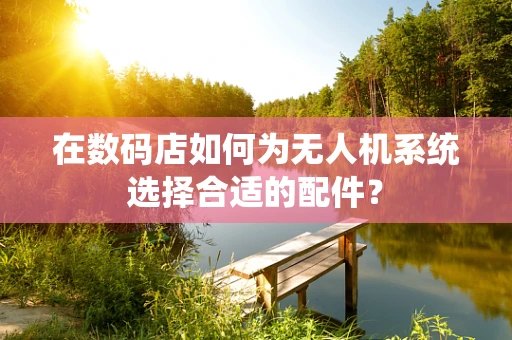 在数码店如何为无人机系统选择合适的配件？