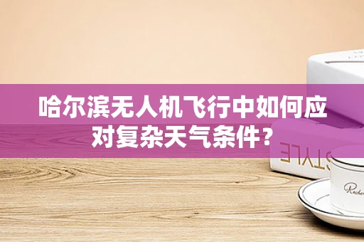 哈尔滨无人机飞行中如何应对复杂天气条件？